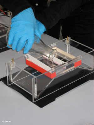 Lerngang Neureut 2007 Bild 2