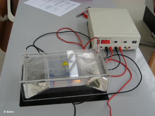 Lerngang Neureut 2007 Bild 4